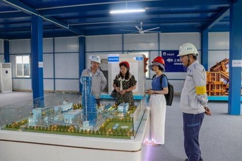 助力钢企零碳示范工厂项目建设 走进上海宝冶承建的湛江钢铁百万吨级氢基竖炉项目